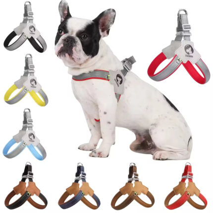 Dog Leash Set